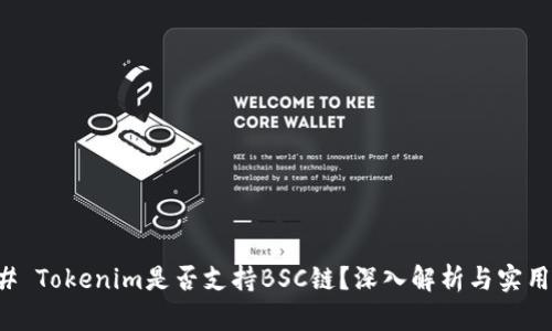 ### Tokenim是否支持BSC链？深入解析与实用指南