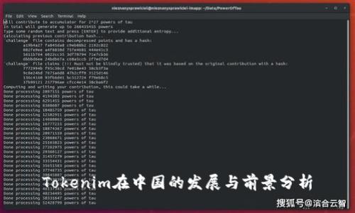 Tokenim在中国的发展与前景分析