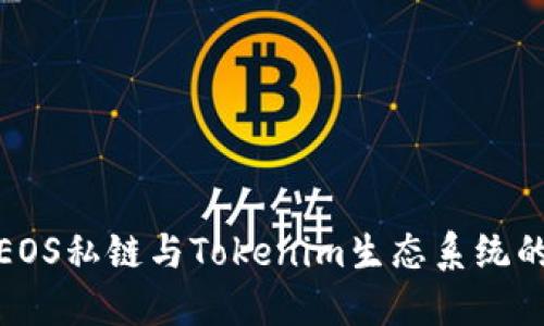 深入了解EOS私链与Tokenim生态系统的完美结合
