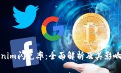 Tokenim闪兑率：全面解析及