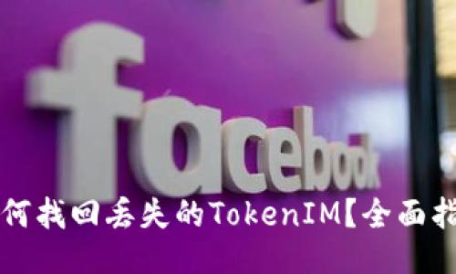 如何找回丢失的TokenIM？全面指南