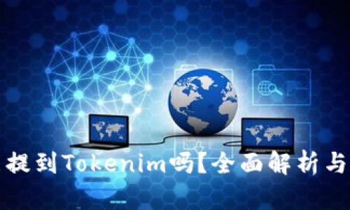 火币网能提到Tokenim吗？全面解析与用户指南