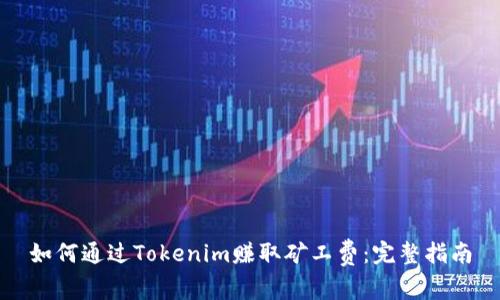 如何通过Tokenim赚取矿工费：完整指南