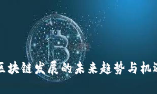 海南区块链发展的未来趋势与机遇解析